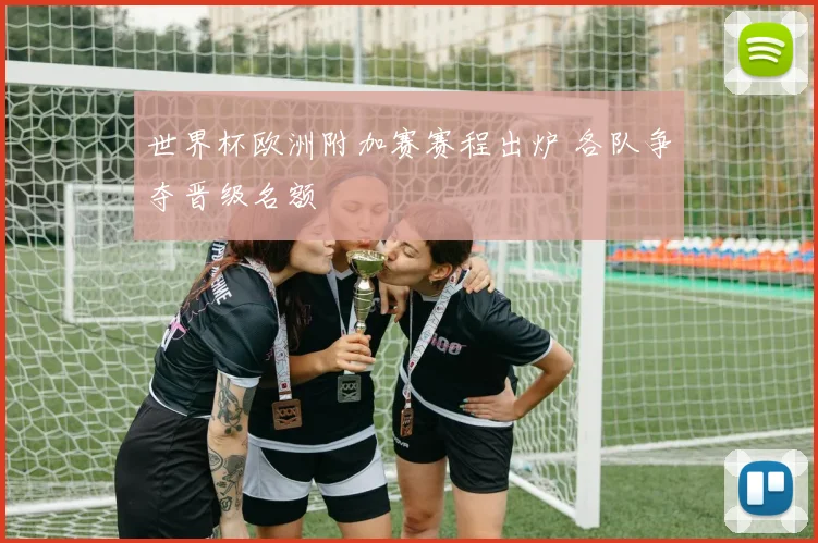 世界杯欧洲附加赛赛程出炉 各队争夺晋级名额