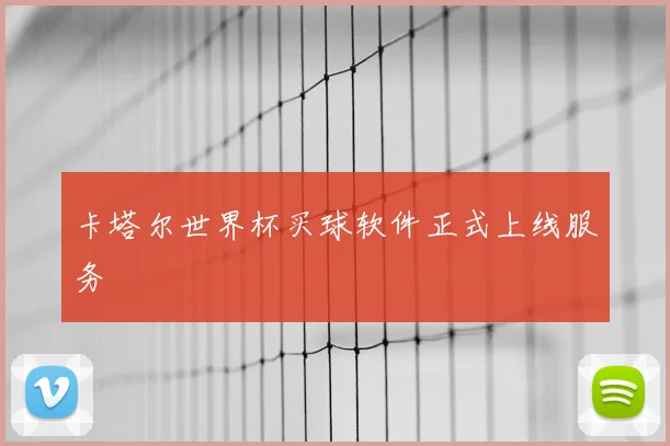 卡塔尔世界杯买球软件正式上线服务