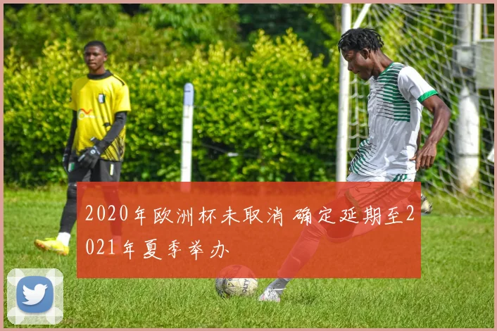 2020年欧洲杯未取消 确定延期至2021年夏季举办