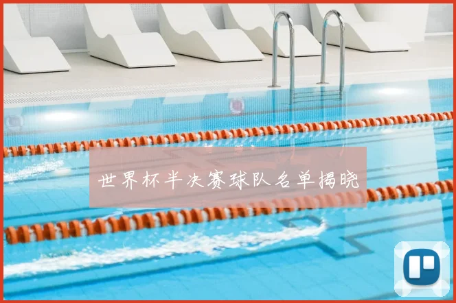 世界杯半决赛球队名单揭晓