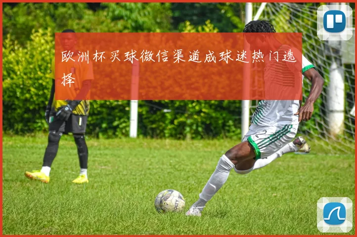 欧洲杯买球微信渠道成球迷热门选择