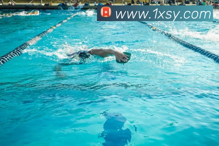 App Interface Preview